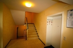 Sofort bezugsfrei! Gut geschnitten! Barrierearm! 4 Zimmer-Wohnung mit Balkon und TG-Stellplatz. - Etagenwohnung Bonn / Tannenbusch Tannenbusch | Angebot:26948123